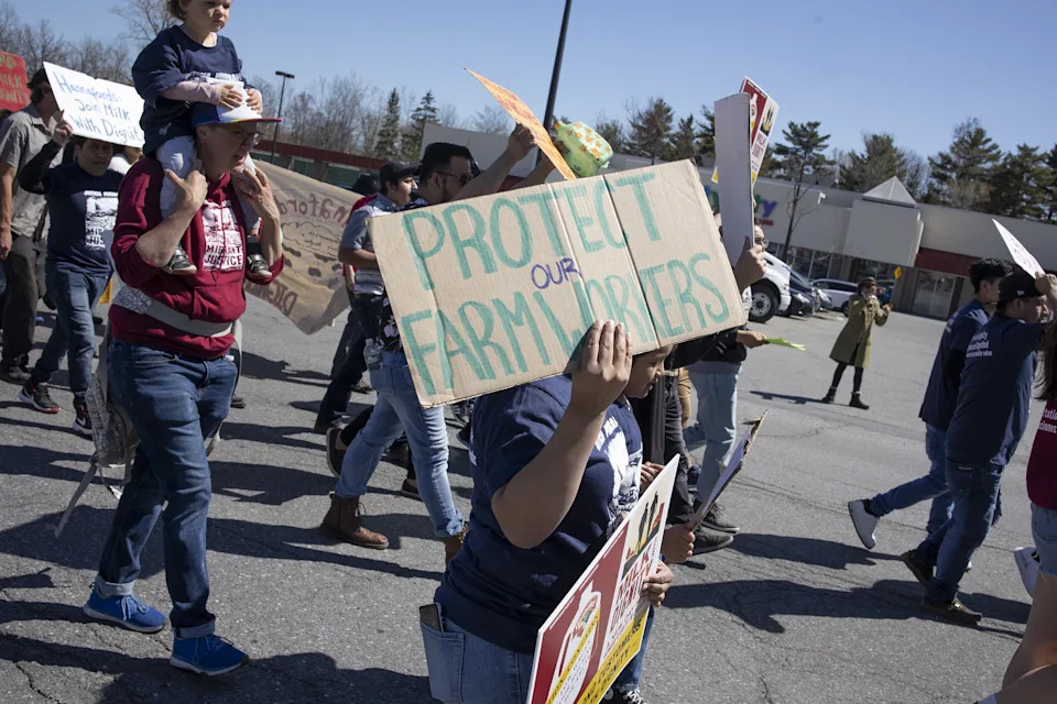 Around a dozen people are seen in a supermarket parking lot, each are holding a sign. One sign in the foreground reads “Protect our farmworkers.”