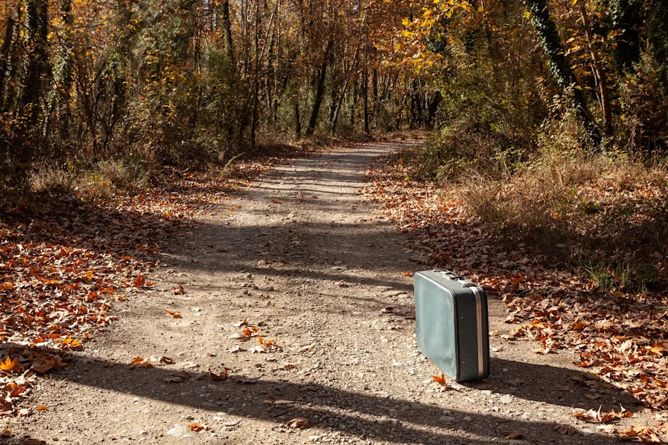 A lone suitcase sits on a leaf-covered path in a forest with trees on both sides