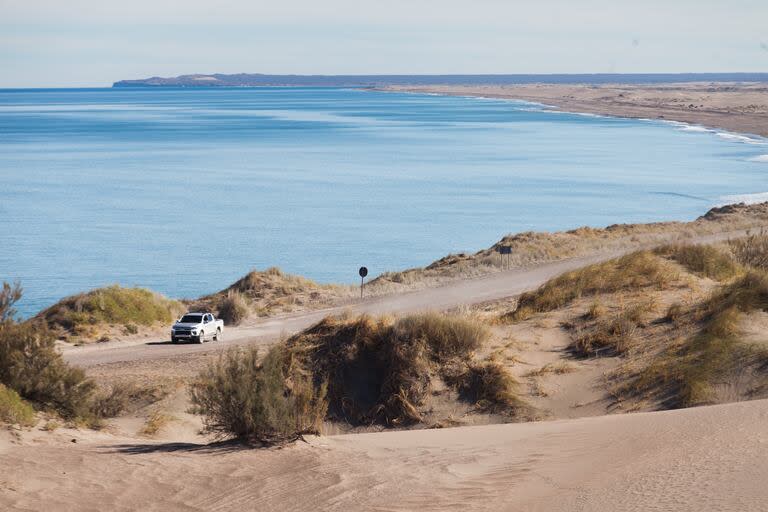 Los expertos en fauna y flora marina también recomiendan cuidar los médanos y solo recorrerlos por senderos señalizados, evitar dejar residuos y seguir las indicaciones ambientales