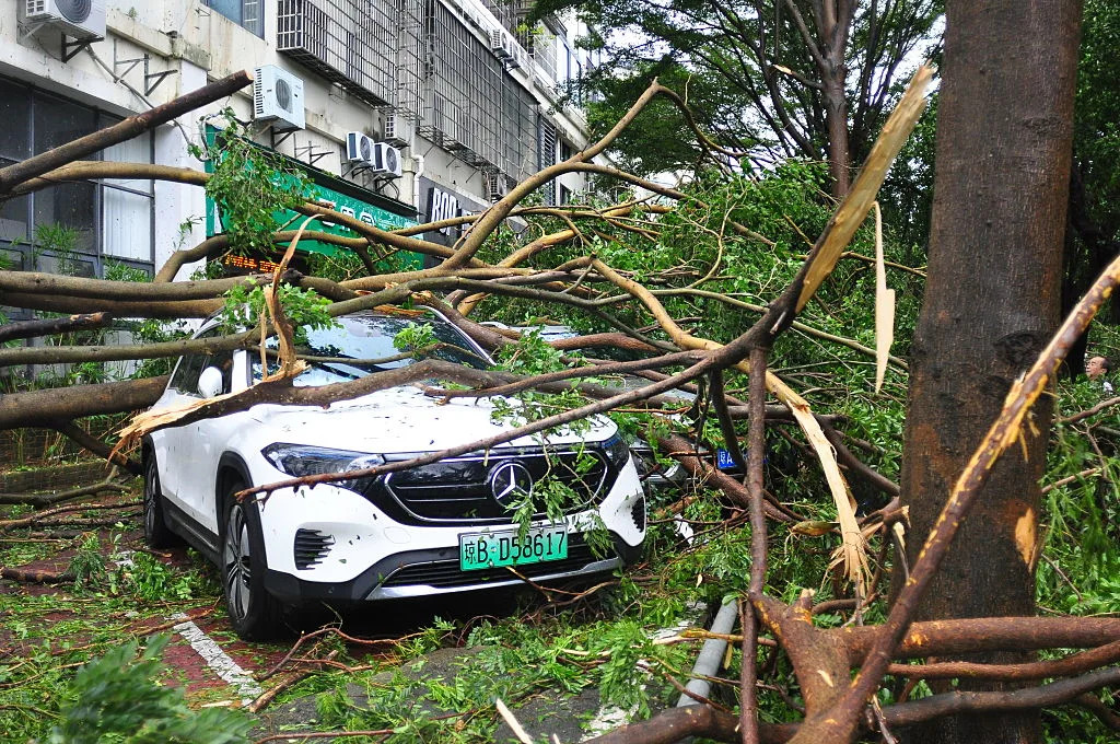 What to Know About Typhoon Kajiki