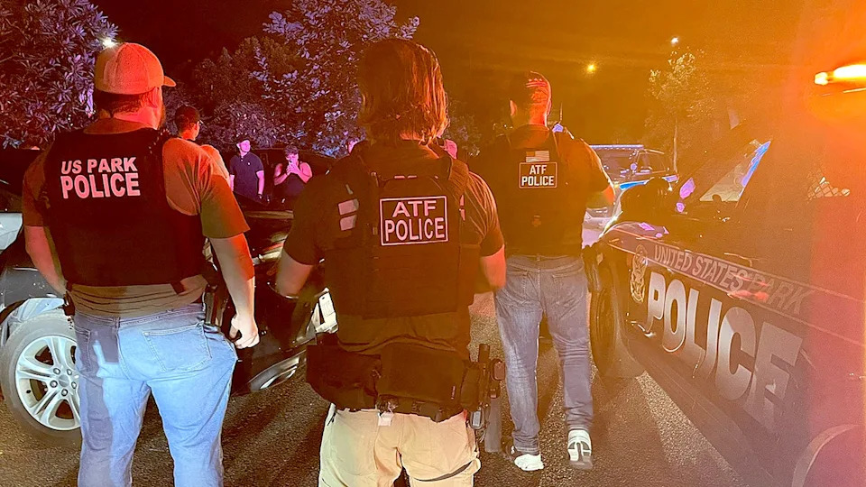 Former Capitol Police Chief says crime by ‘gangs of youth’ in DC has spiked, escaped ‘certain neighborhoods’