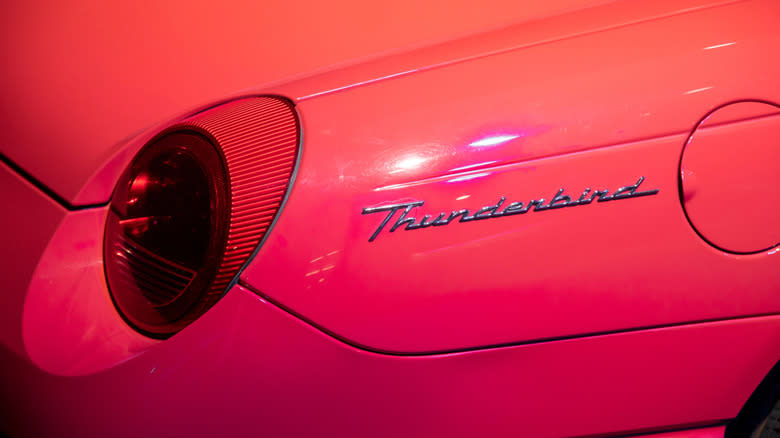 Thunderbird Fender