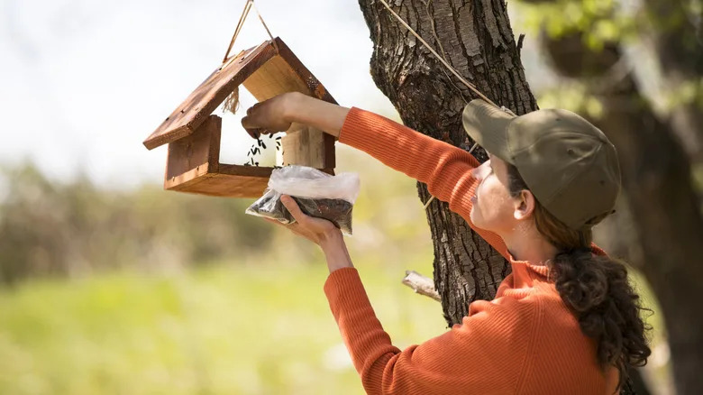Woman sprinkling seeds in a bird feeder