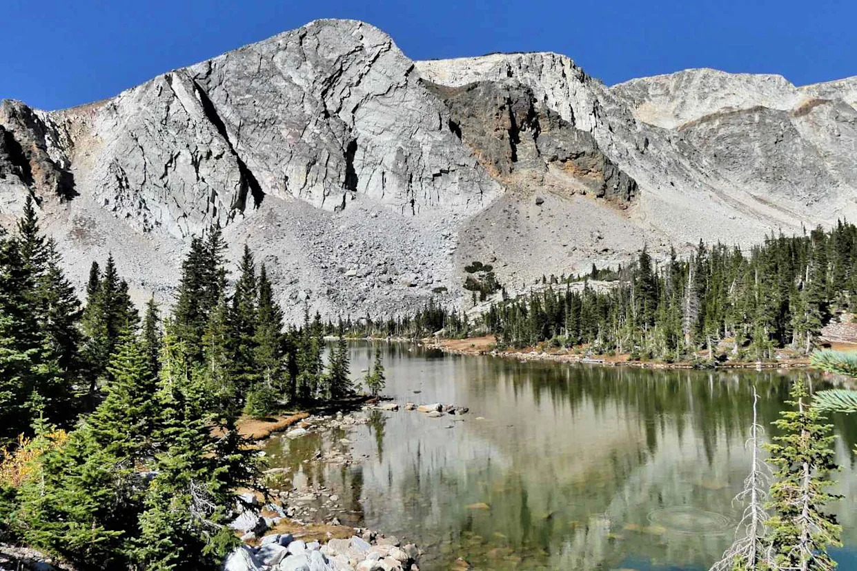 Getty A photo of Medicine Bow National Forest.