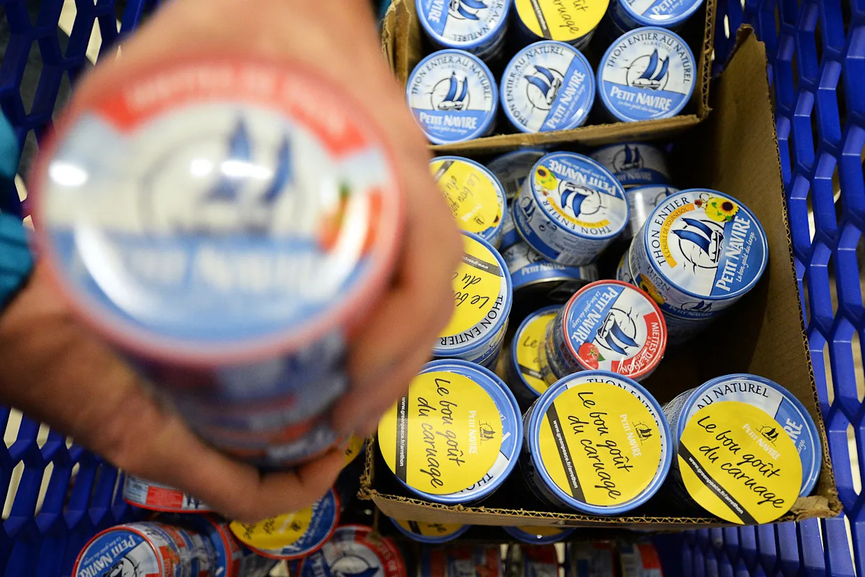 Huit mairies bannissent le thon des cantines : en manger est-il vraiment dangereux pour la santé ?