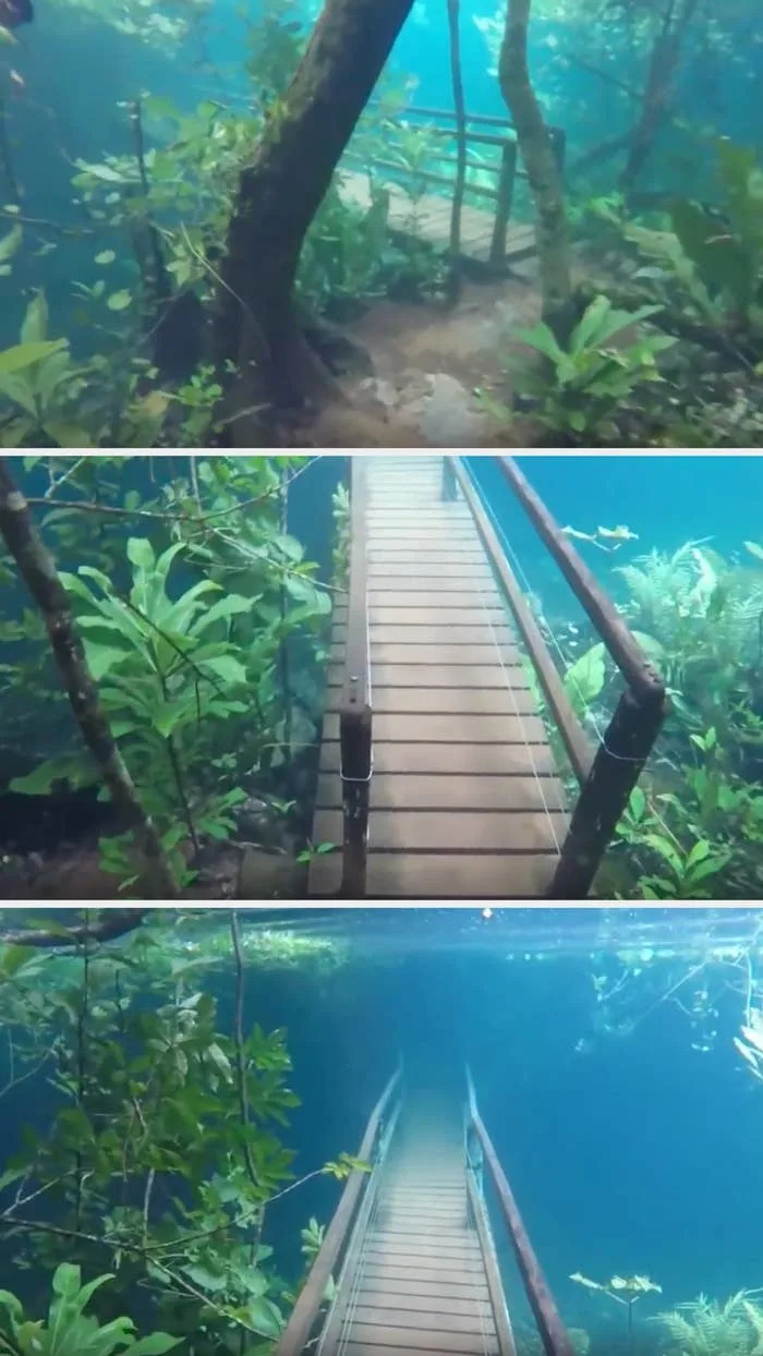 Three images showing a wooden bridge surrounded by lush greenery over clear blue water in a natural setting