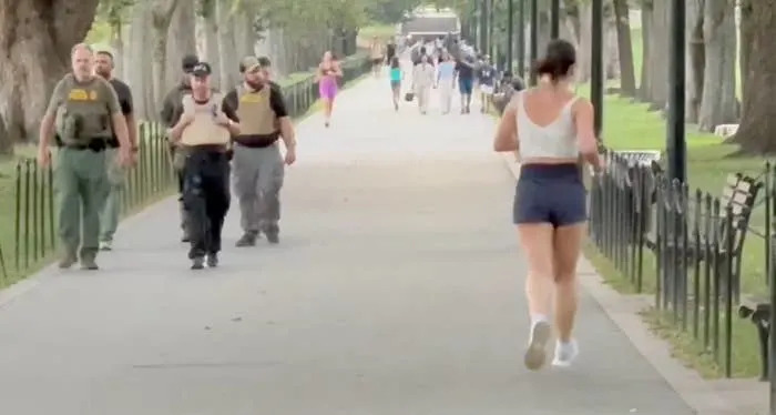 People walking and jogging on a tree-lined path in a park on a sunny day