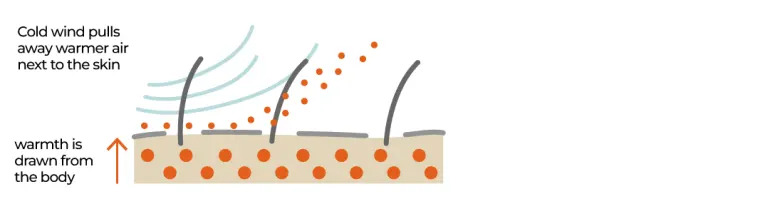 INTERACTIVE-air-heat stress - August 26, 2025-1756208110