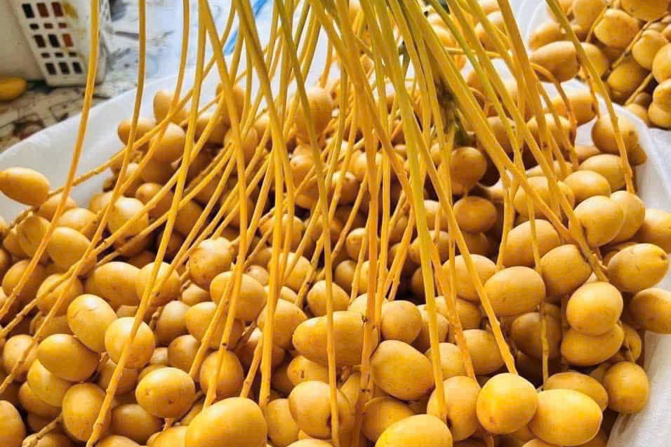 10 cách dùng hoa đu đủ đực cho mọi nhà