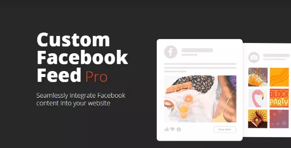 Custom Facebook Feed Pro - Facebook News Feed for WordPress v4.5.1