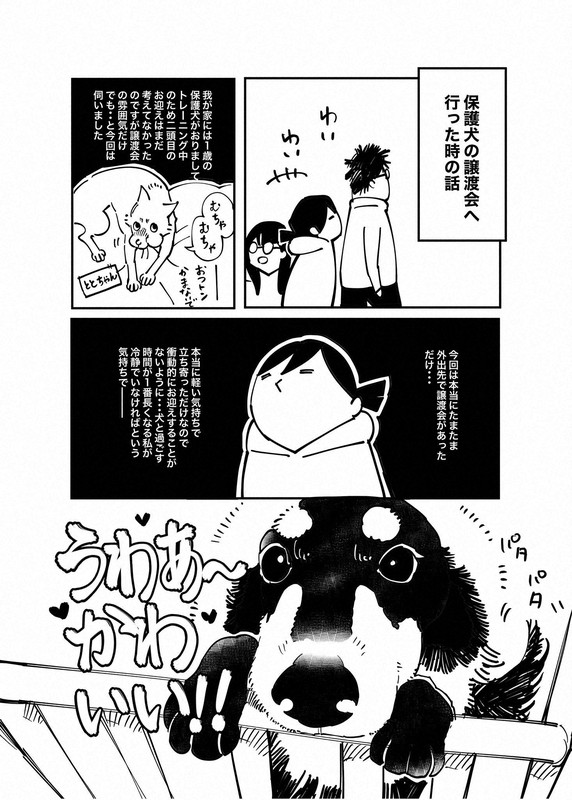 保護犬ビジネス？　譲渡会で感じたもやもやの正体＝田中理知
