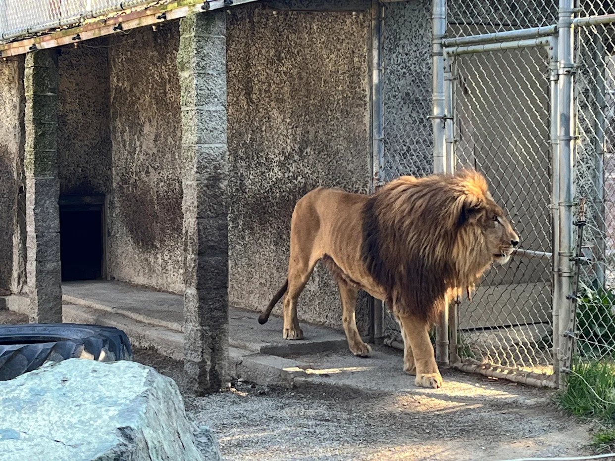 Oregon zoo owner indicted on more than 300 animal neglect charges