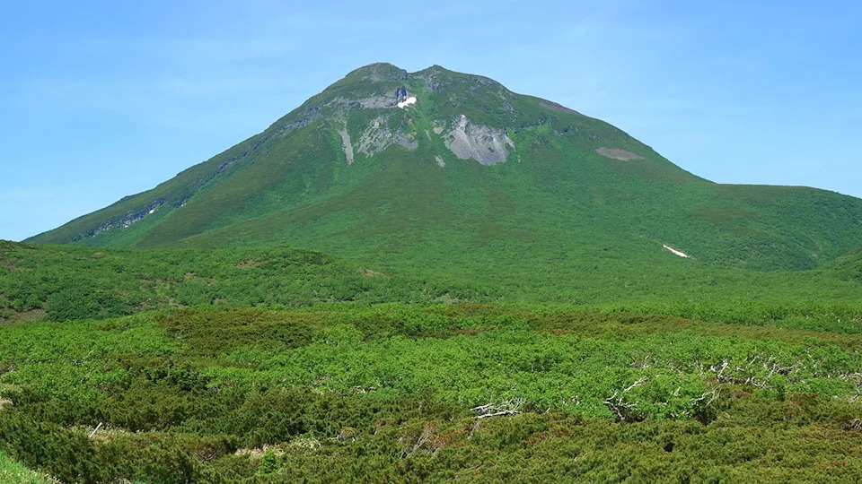 Hiker's friend watches in horror as brown bear drags man into bushes on mountain: report