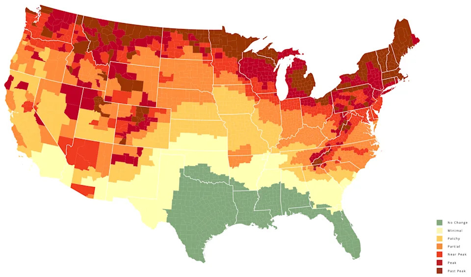 This map shows a prediction of fall foliage colors across the country during the week of Oct. 14, 2025.