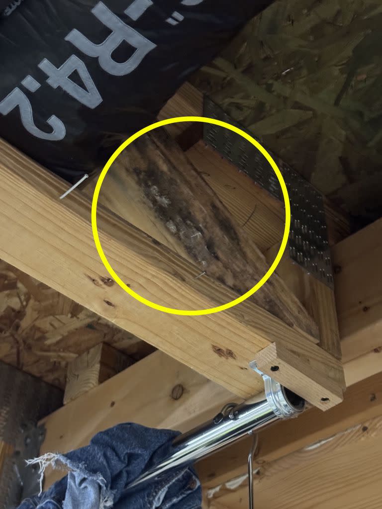 Smith was unaware that she’d been inhaling mold hidden beneath the carpet og her home. Kennedy News/@applfrittr11