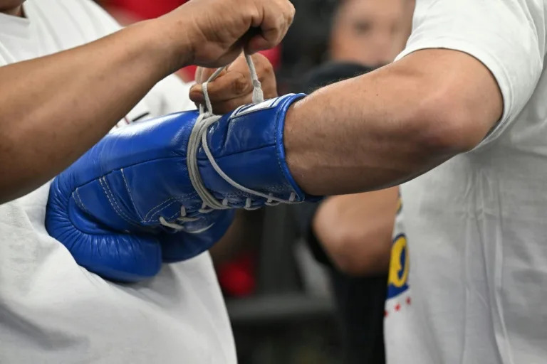Japan boxing to hold emergency meeting following deaths