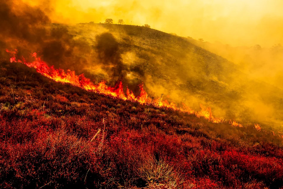 Gifford Fire burns 30,000 acres in Los Padres National Forest on August 2, 2025. Flames sweep through rugged terrain near Santa Maria, California, forcing evacuations and endangering nearby communities and wildlife.
