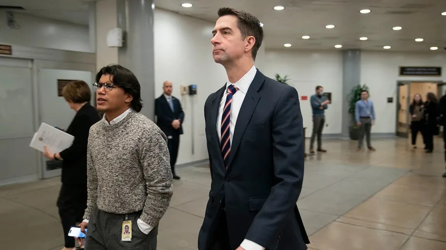 Cotton presses Hegseth to block noncitizens from Pentagon systems