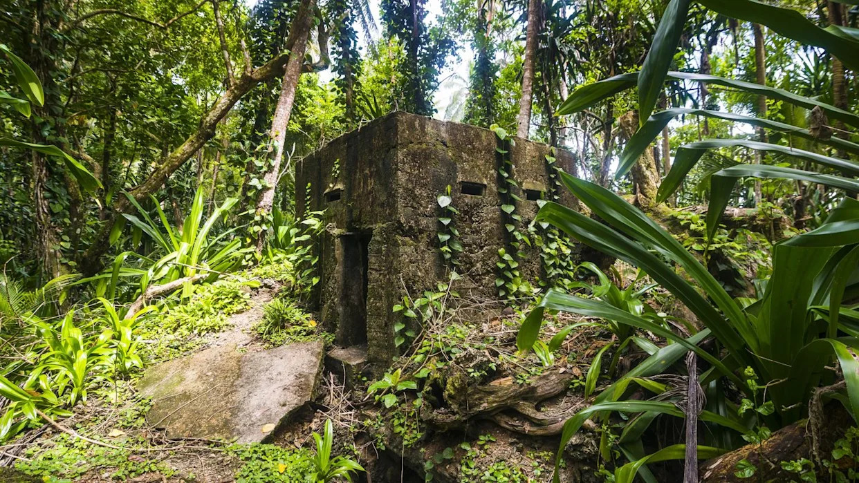 Archaeologists Found a 5,000-Year-Old Fortress That Nature Had Hidden for Centuries
