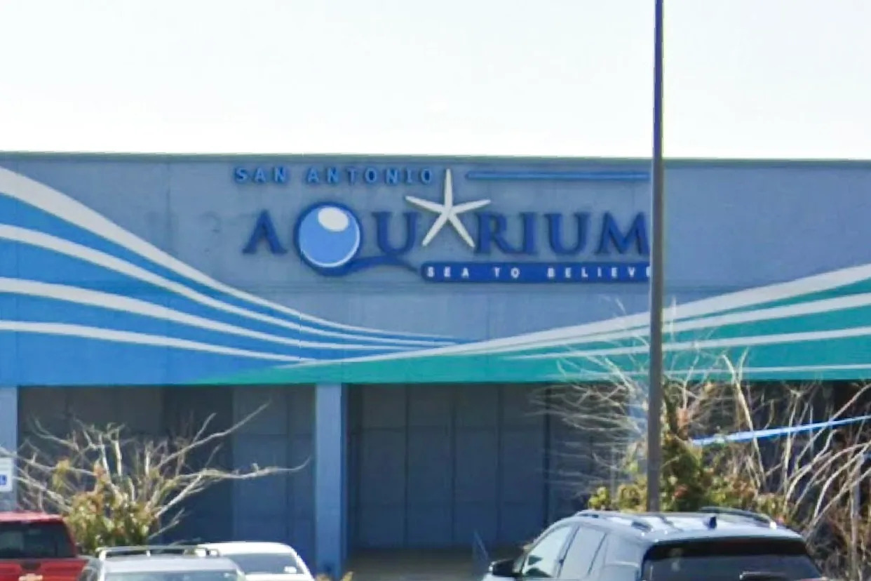 Google Maps San Antonio Aquarium