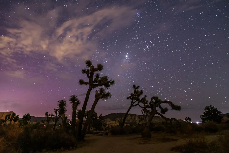 Northern Lights (Aurora Borealis) illuminate the sky above Joshua Tree National Park during the Perseids Meteor shower in Joshua Tree, California, early on August 12, 2024.