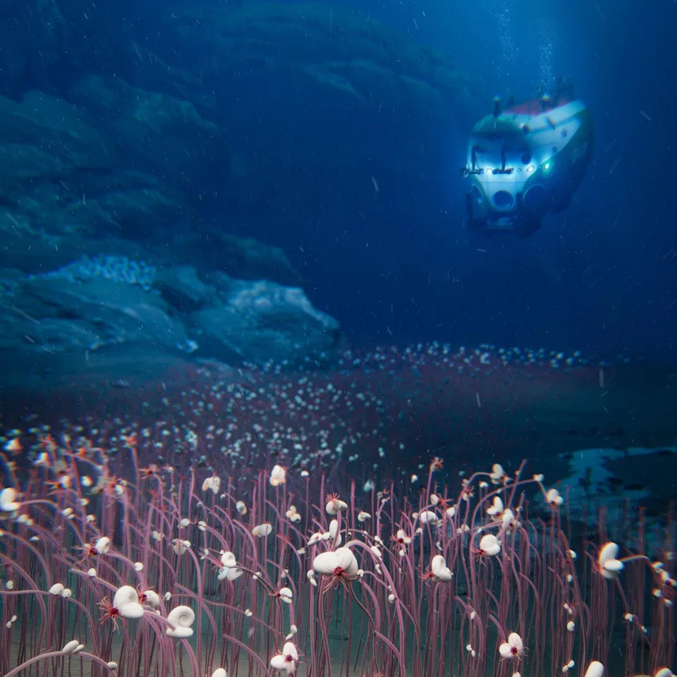 An artist's impression of a submersible vehicle exploring a deep ocean trench filled with reddish tube-worms that are emerging from the ocean floor.