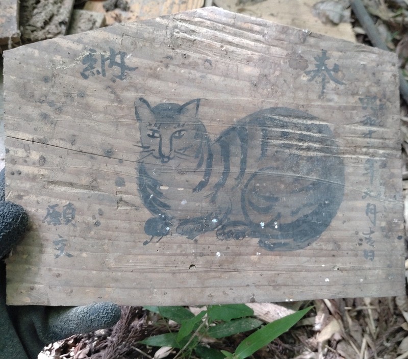 神様は猫、新たな「猫神社」発見　絵馬「倍返し」の風習とは?