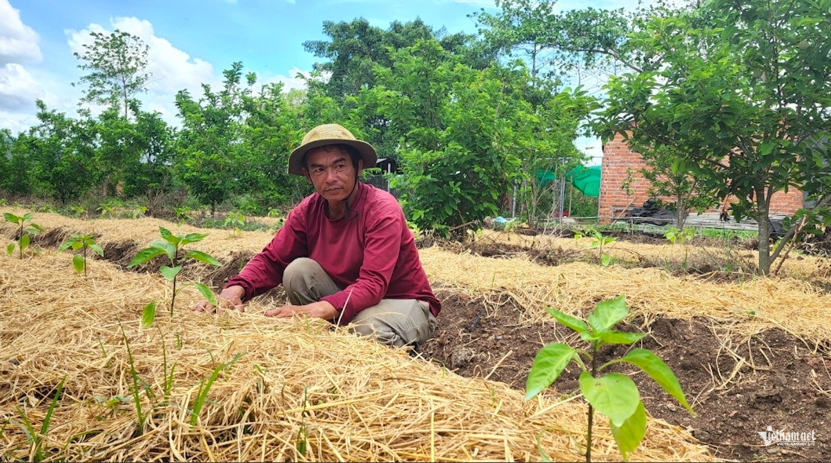 Người đàn ông Ê Đê 'đánh cược' với đất để đổi đời