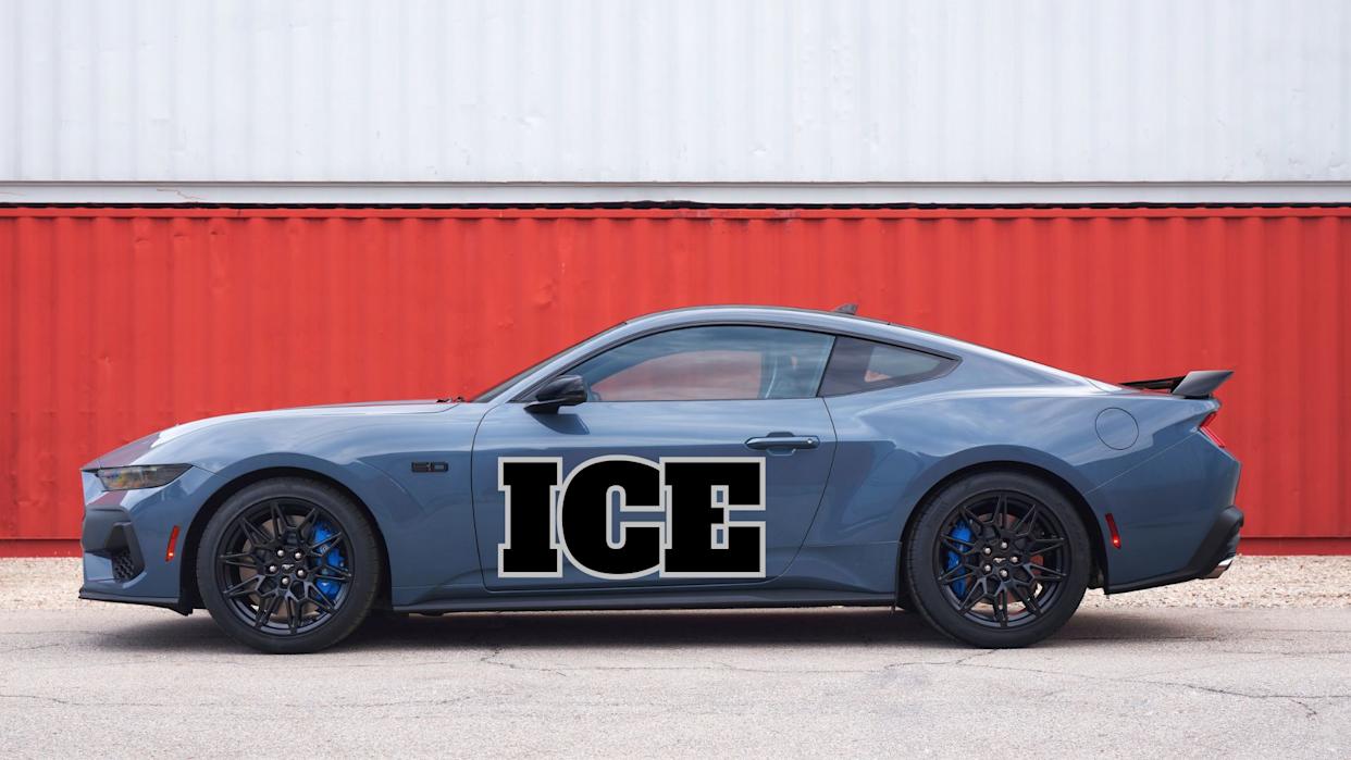 ICE Uses Mustangs To Lure In Real Men