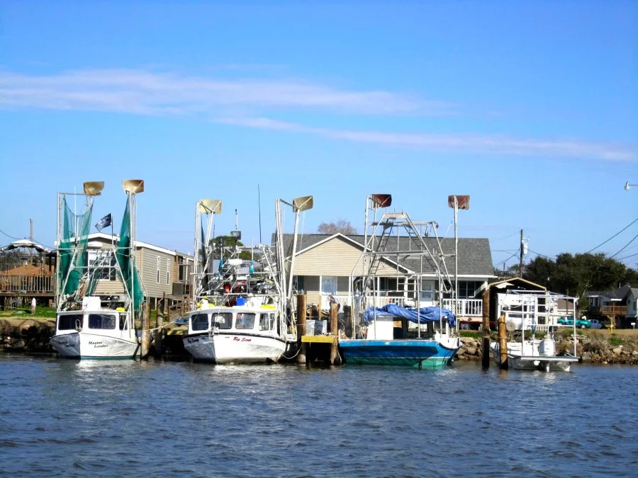 Commercial fishing licenses now on LA Wallet app, Louisiana wildlife agency says