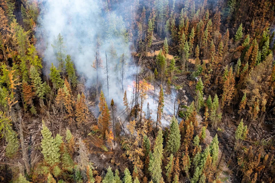 Air quality alert in effect for New Hampshire due to smoke from Canadian wildfires.