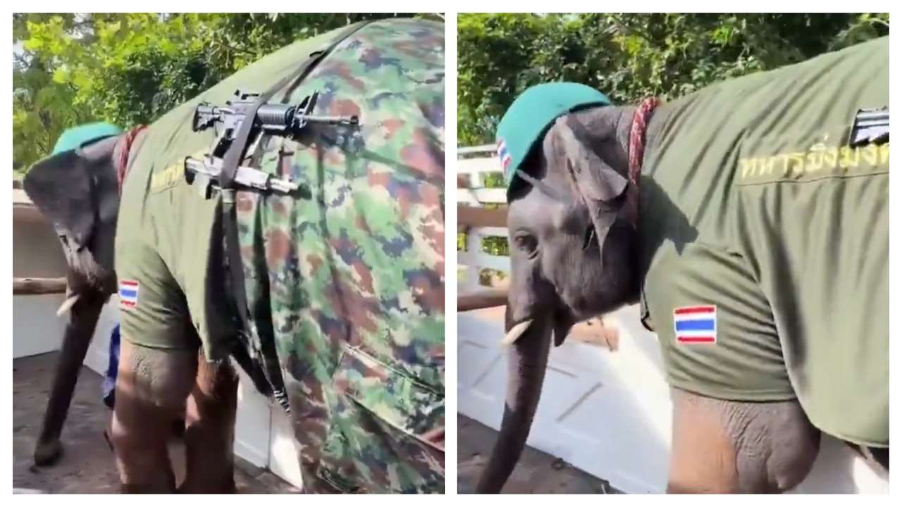 泰國柬埔寨衝突｜泰軍大陣「象」：穿軍服+掛步槍　當地傳媒解畫