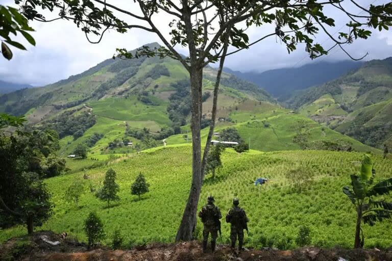 El EMC se financia con rentas del narcotráfico, la minería ilegal y la extorsión.