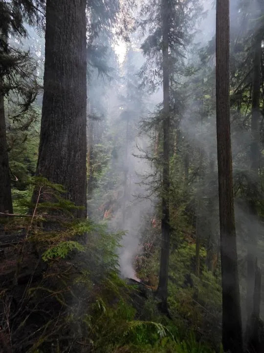 The Doerner Fir Tree Fire pictured Aug. 17 by Bureau of Land Management