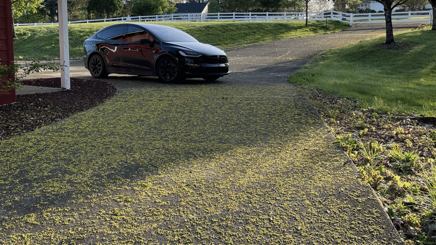 Davy Cricket, my current Tesla Model X, driving me home.