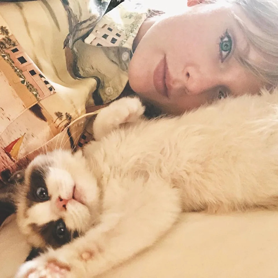 <p>Taylor Swift's Cats Have Met the Kelces</p>