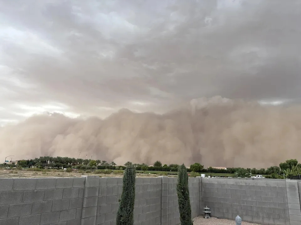 A massive dust storm approaches a residential area, with a wall of dust visible over trees and homes, captured from a backyard perspective