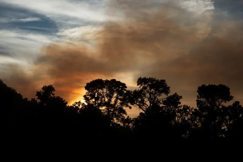 Hundreds flee forest fire in California