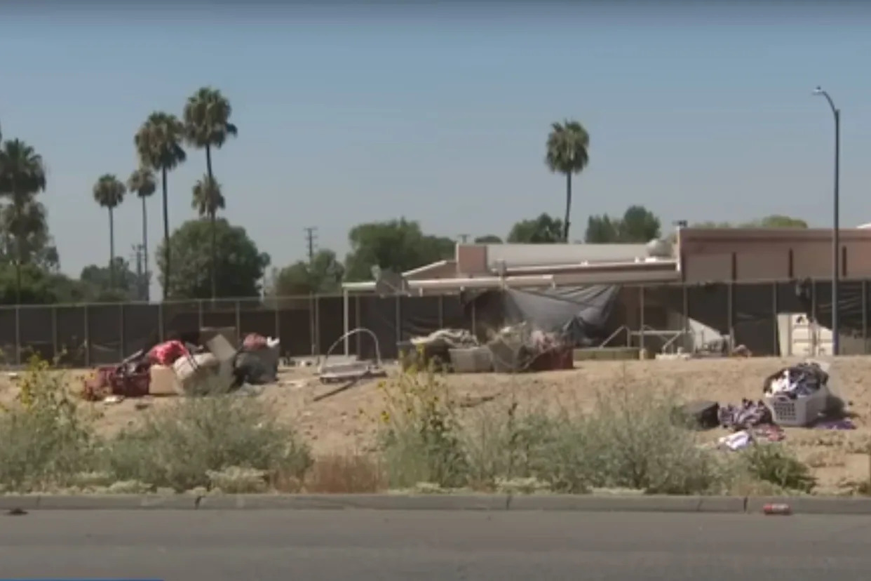 Woman, 51, Mauled to Death by a Large Pack of Stray Dogs During 'Chaotic Scene' at a California Park