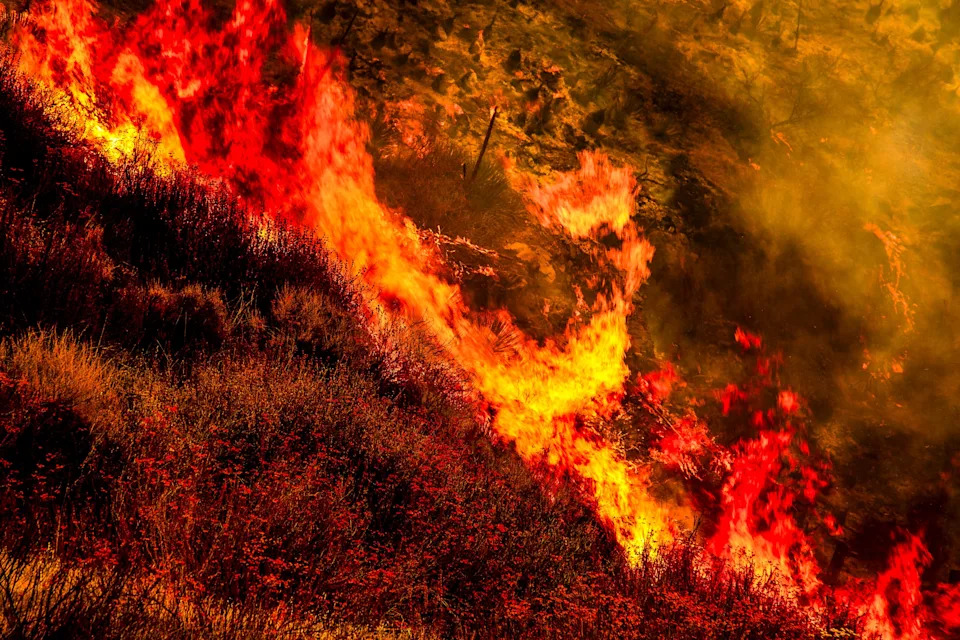 Gifford Fire burns 30,000 acres in Los Padres National Forest on August 2, 2025. Flames sweep through rugged terrain near Santa Maria, California, forcing evacuations and endangering nearby communities and wildlife.