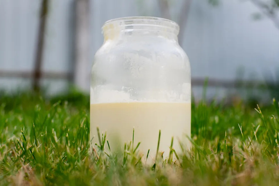 21, including children, fall ill in Florida after consuming raw milk