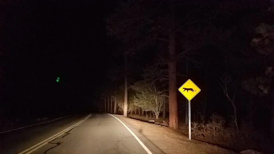 Road at night with a lit caution sign showing an animal crossing symbol among trees