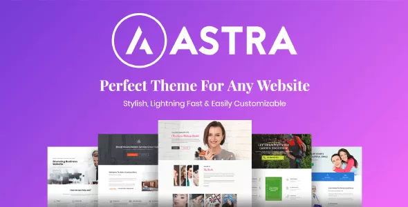 Astra Pro Addon - Perfect Theme for Any Website v4.11.6