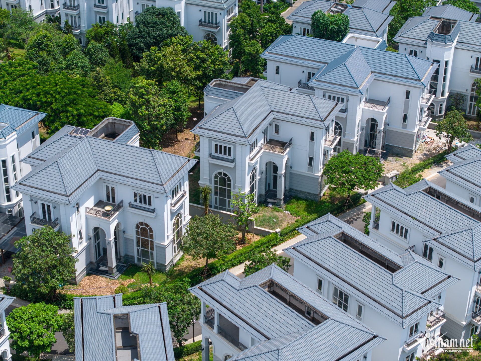 Biệt thự bỏ hoang cho ruồi muỗi sống, giá vẫn tăng khó tin