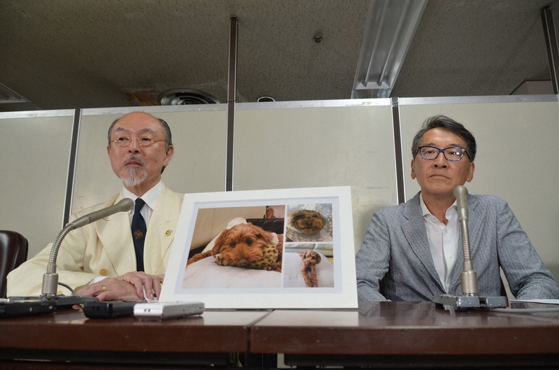 「ミエル、モノのように扱われた」動物病院火災で愛犬失った原告憤り