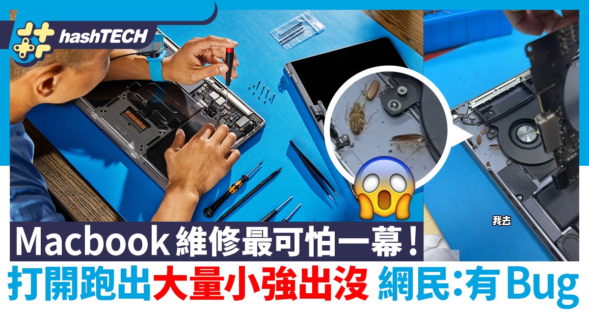Macbook維修跑出大量曱甴｜可怕又可笑，網民回應：部機有Bug