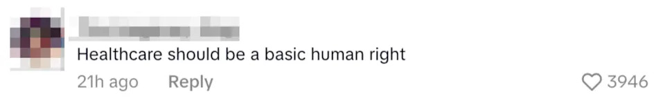 Comment reads, "Healthcare should be a basic human right." It was posted 21 hours ago and has 3,946 likes