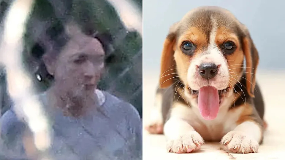 Ghislaine Maxwell (L) and a puppy (R)
