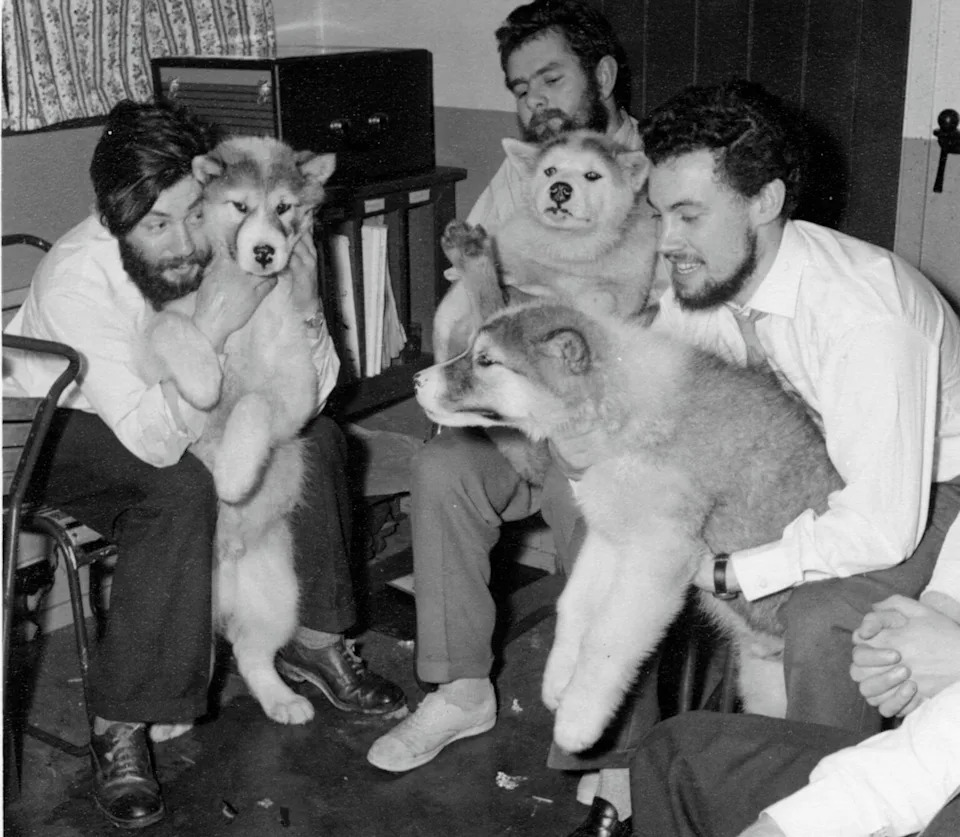 British Antarctic Survey - PHOTO: Dennis Bell (left) with his fellow colleagues and the dogs that helped them to work in Antarctica. Midwinter 1959 at Admiralty Bay Base.