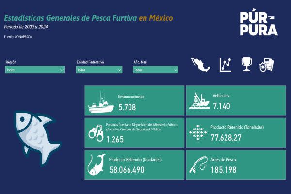 Guardianas del mar: mujeres yucatecas protegen lo que el Estado mexicano olvidó